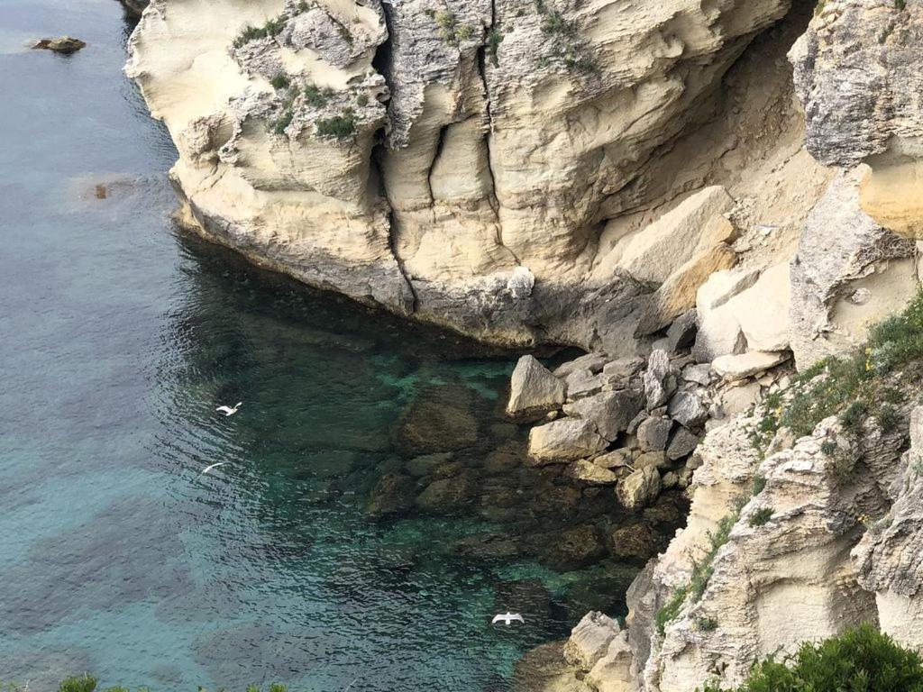 Casa Francesca Βίλα Saint-Florent  Εξωτερικό φωτογραφία